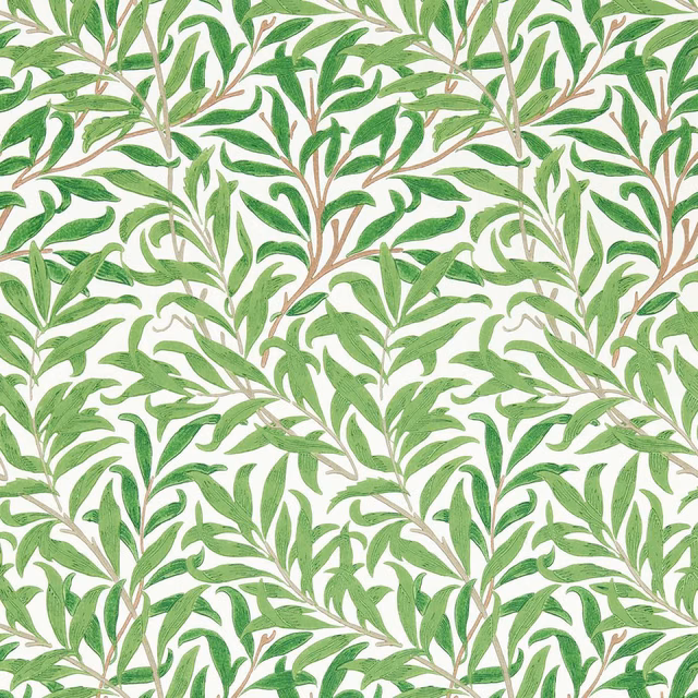 Leaf-green Willow branches with brown stems over a warm white ground