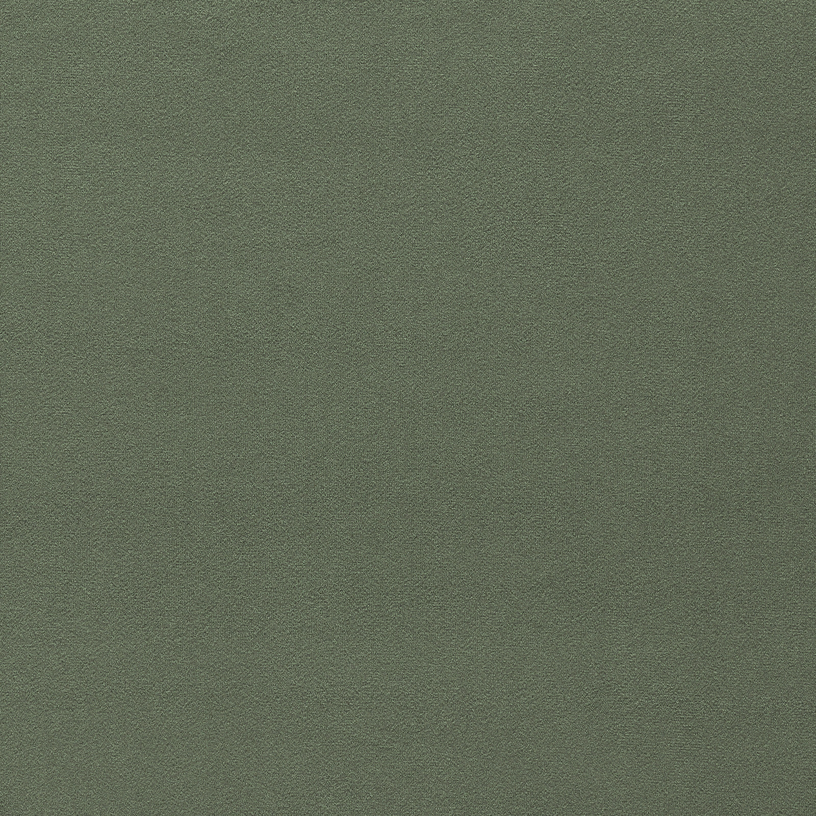 Muted olive-green velvet with a softly varied, close-pile surface