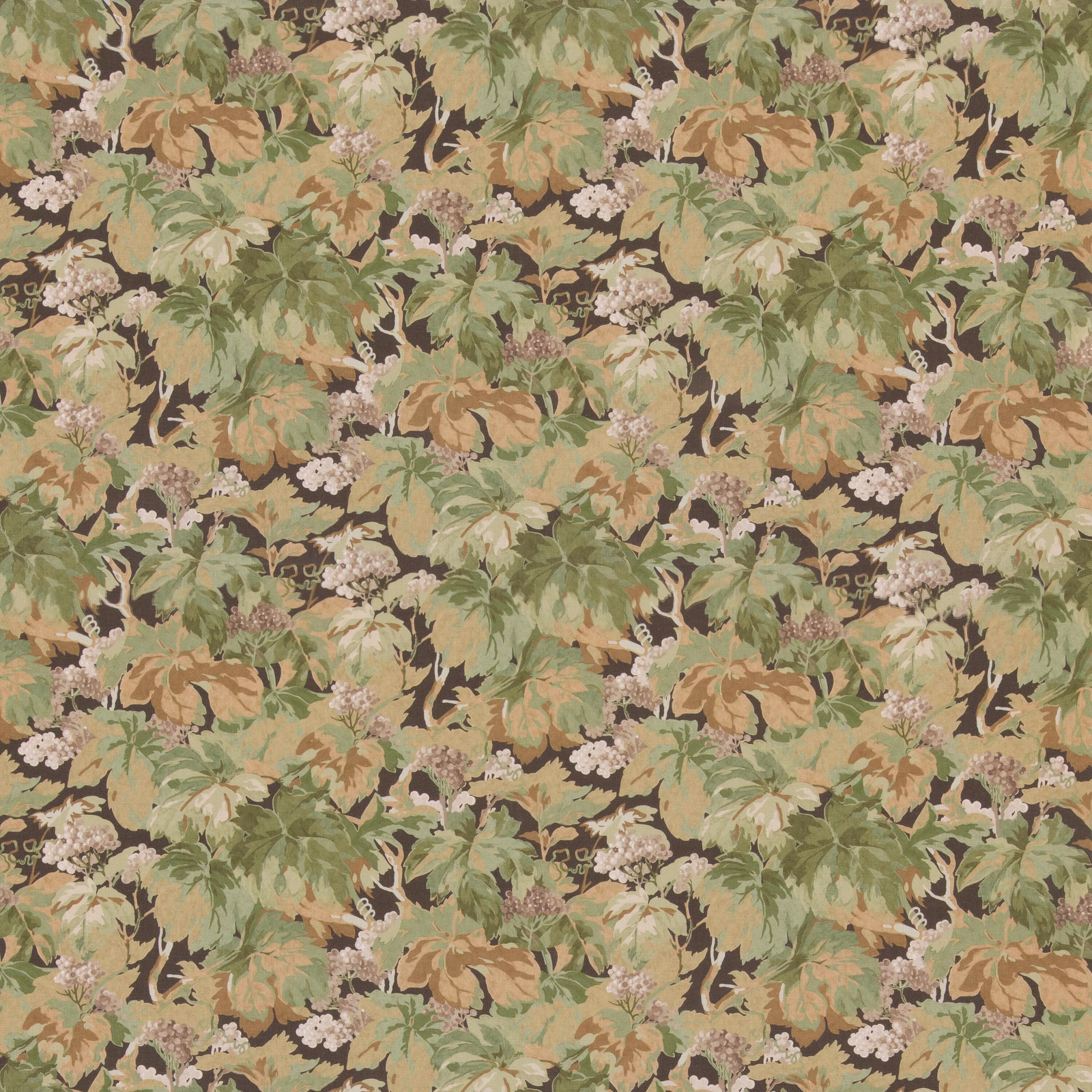 Charcoal ground with muted green foliage, tan leaves and pale clustered flowers