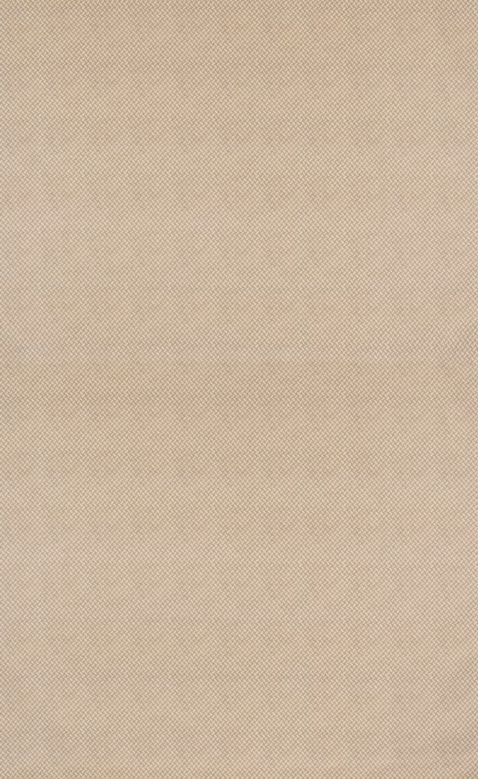 Warm oatmeal beige cotton swatch with a fine, tightly woven basketweave texture