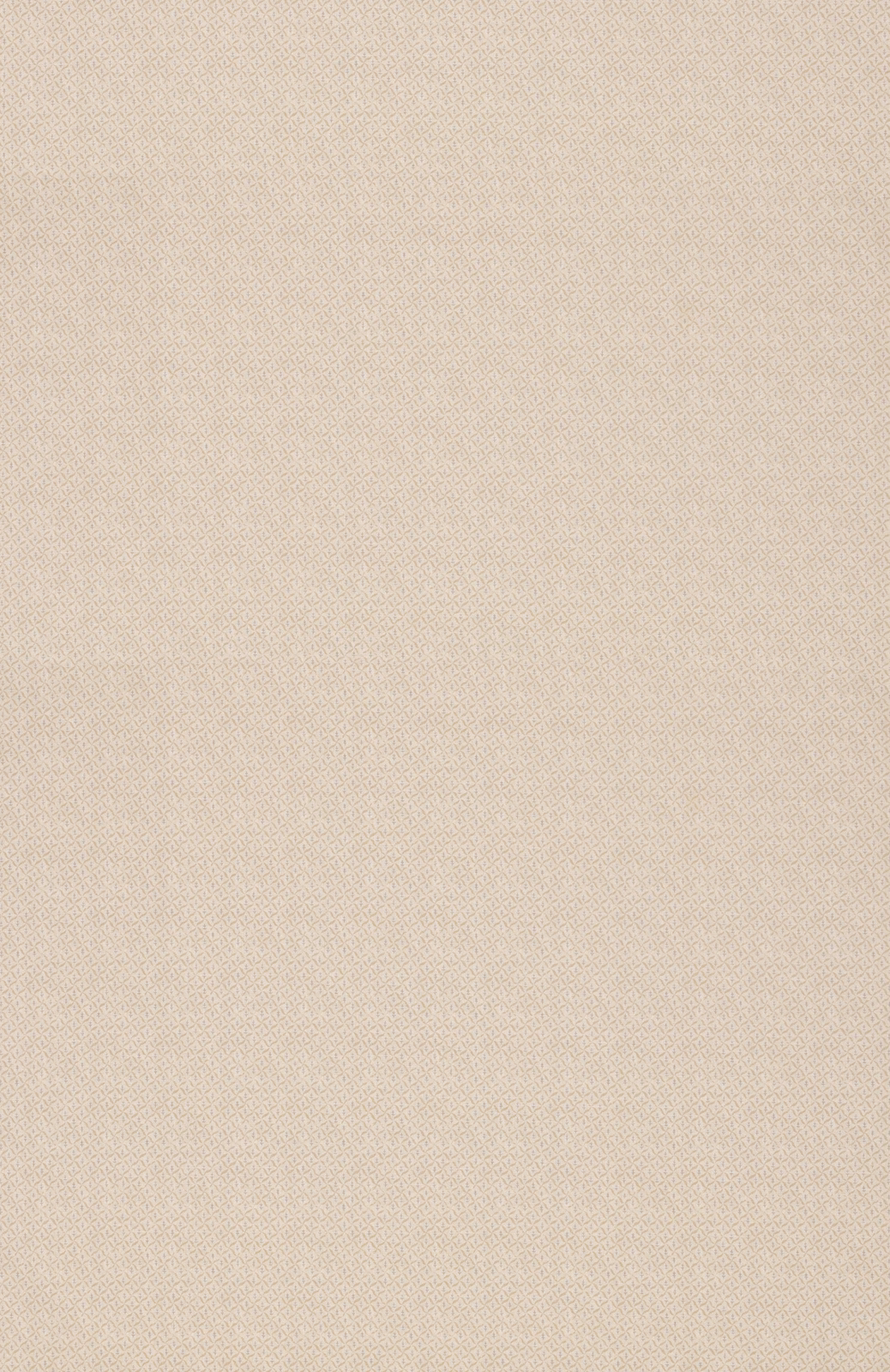 Close-up of pale oatmeal-beige textile showing a softly crosshatched fine weave