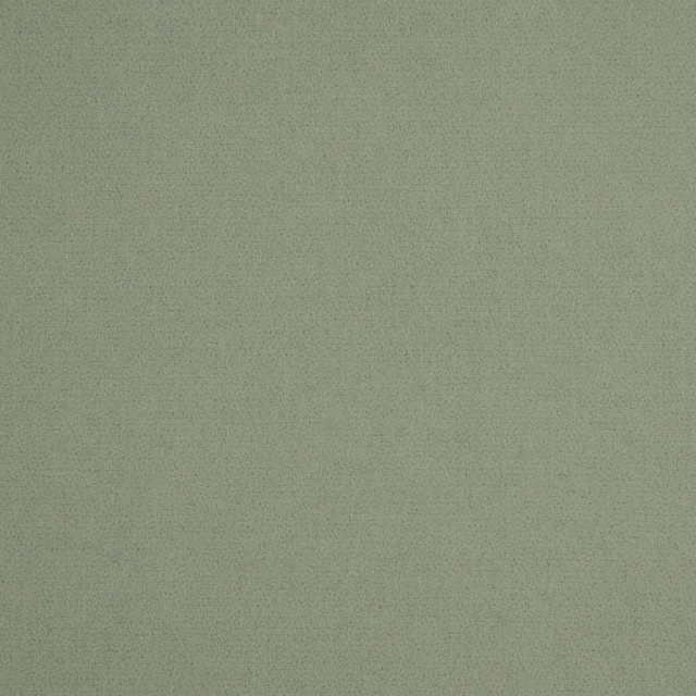 Muted sage-green fabric with a fine, softly mottled woven texture