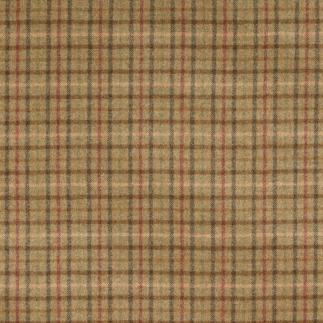 Muted sage and taupe plaid with fine rust lines in a woven surface