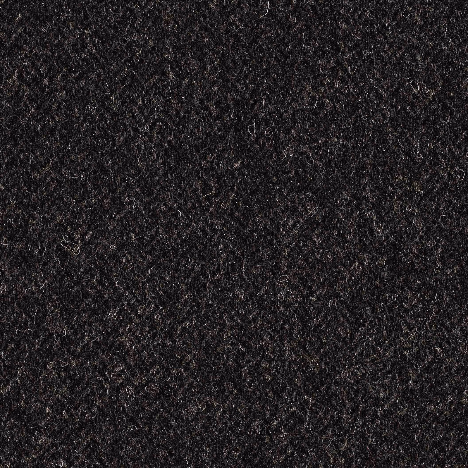 Close-up of dense charcoal curls with subtle grey and brown flecks