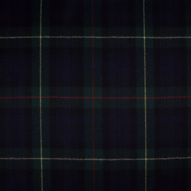 Dark forest and navy tartan with red and muted gold overcheck lines