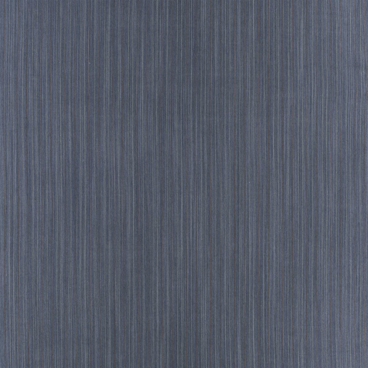 Agave Stripe Denim fabric