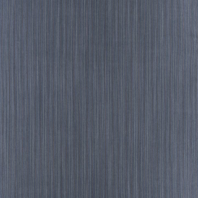 Agave Stripe Denim fabric