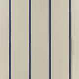 Twinfalls Stripe Blue fabric