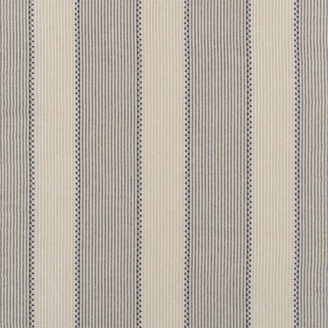Carleigh Embroidered Ticking Denim fabric
