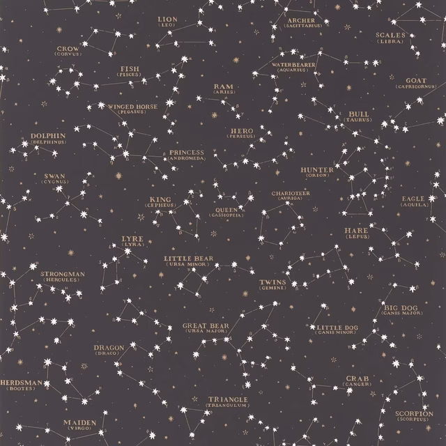 Starry Sky Black fabric