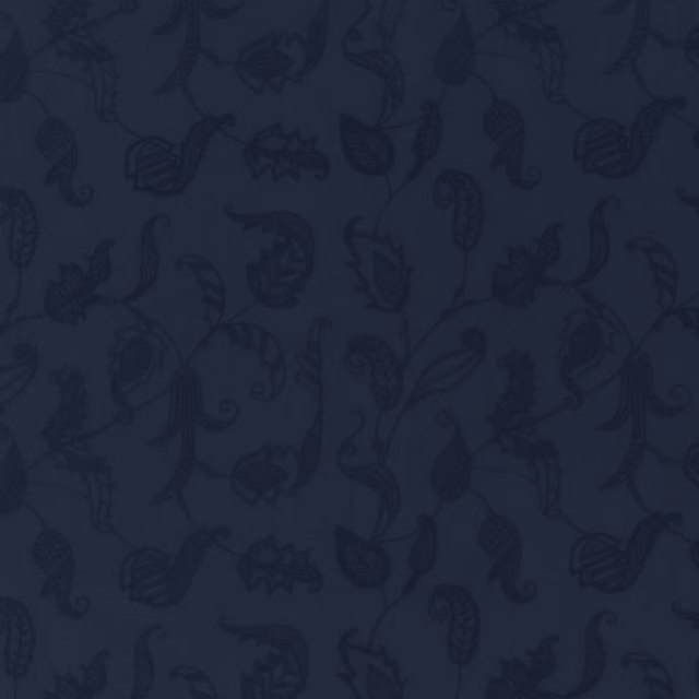 Opal Coast Embroidery Navy fabric