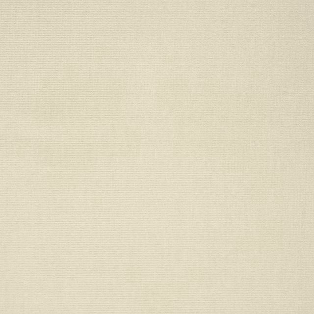 English Riding Velvet (uk) Doe fabric
