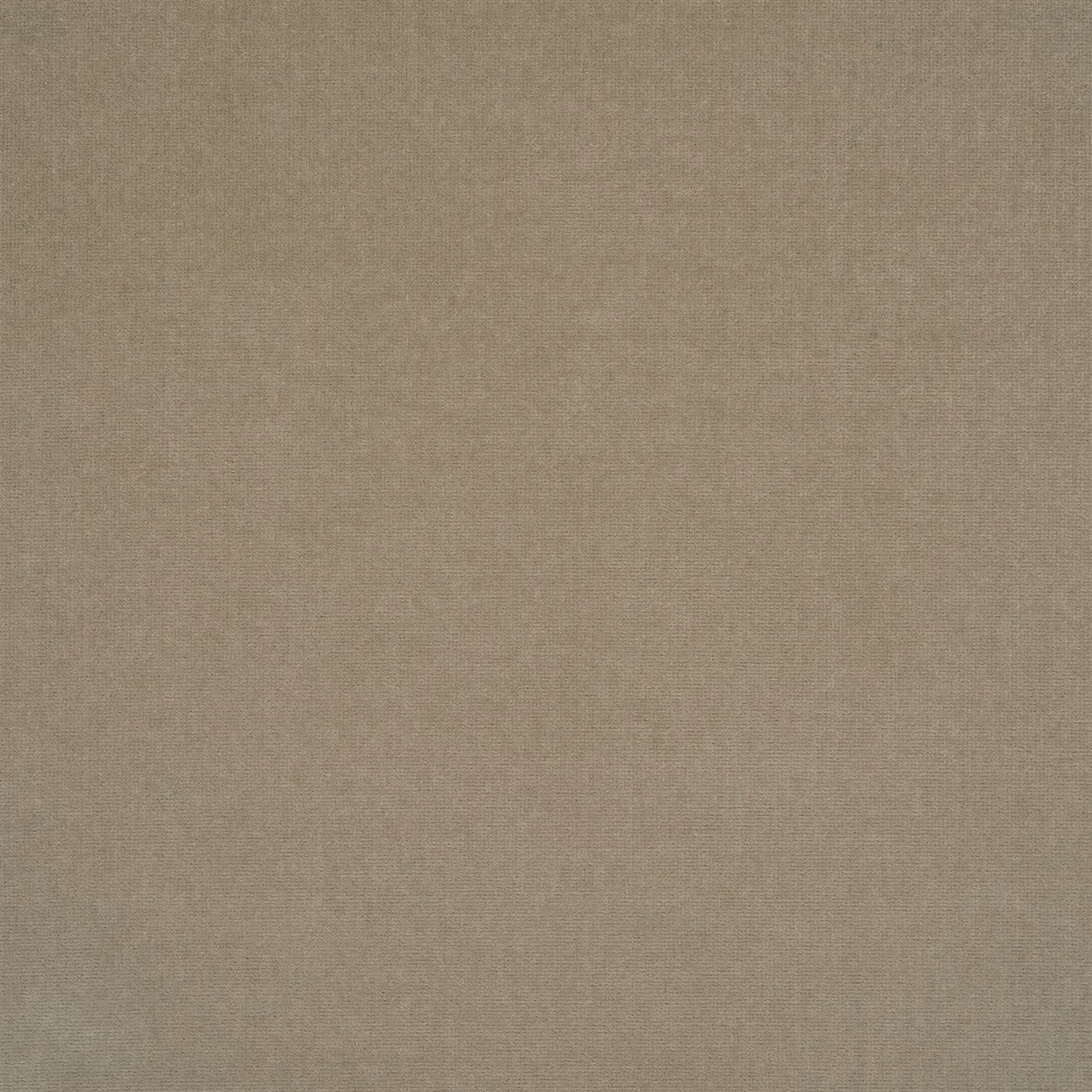 St Antoine Velvet Ash fabric