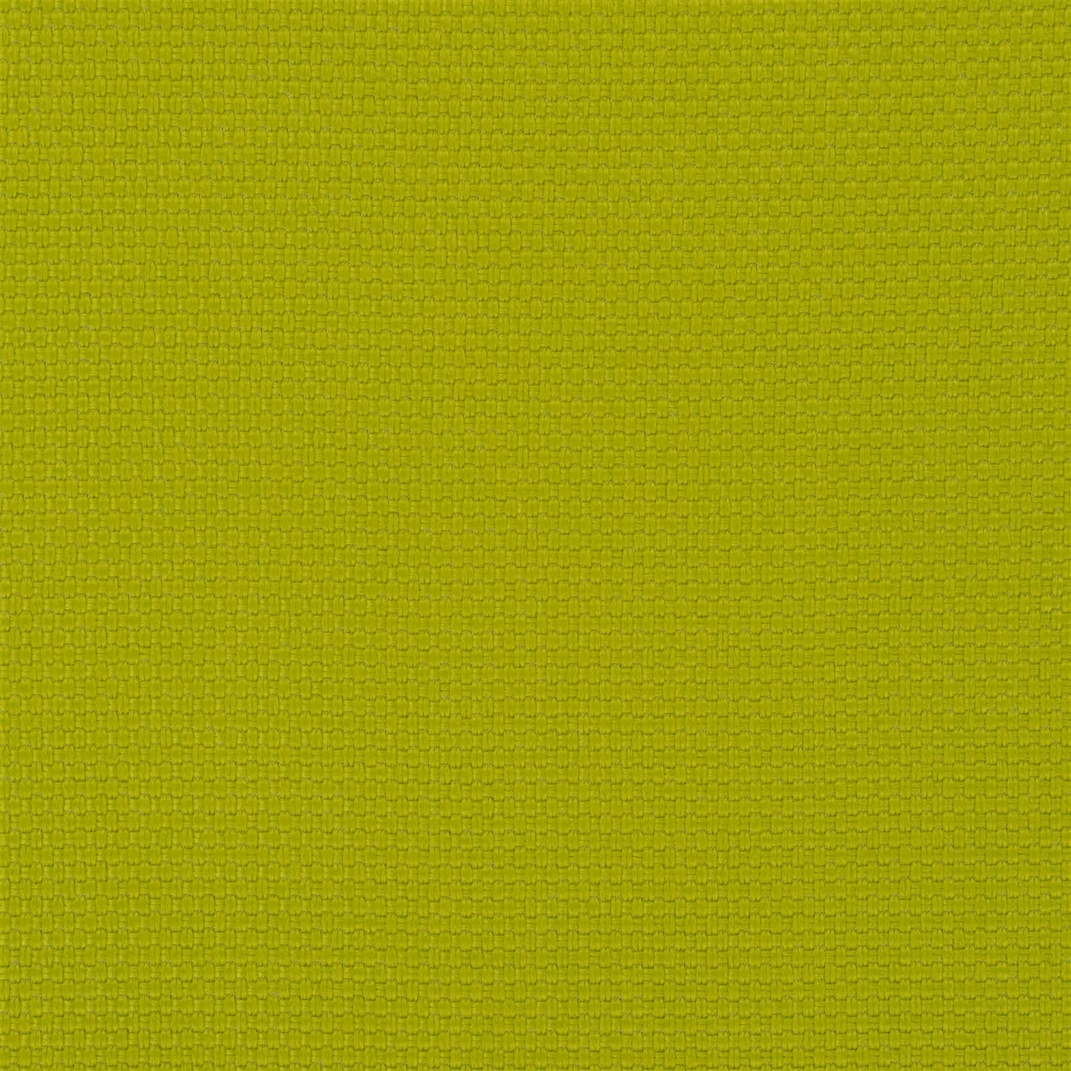 Salt Marsh Lime fabric