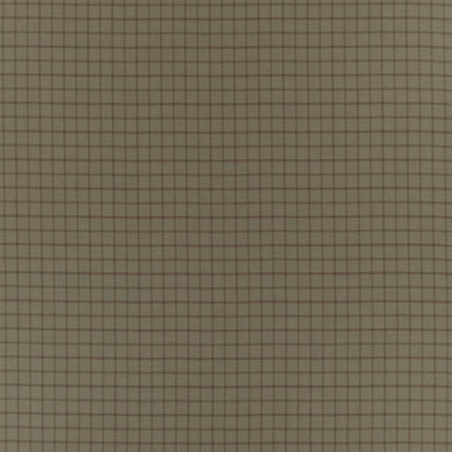 Aaron Tattersal Green Fabric fabric