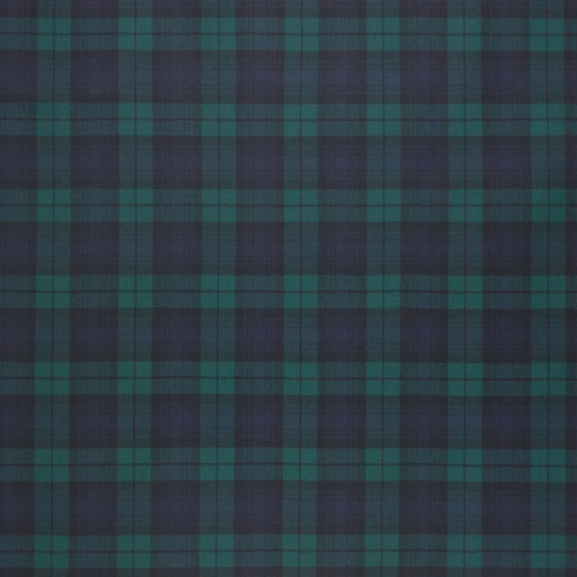 Blackwatch Flannel Twilight fabric