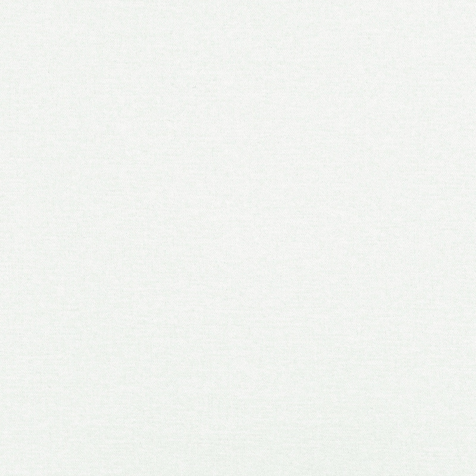 Near-white Egret textile with a fine, cool-toned woven surface
