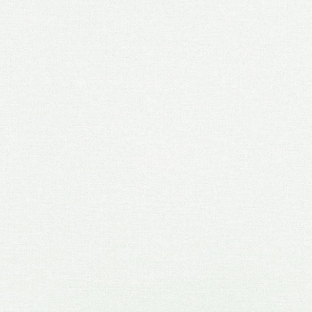 Near-white Egret textile with a fine, cool-toned woven surface