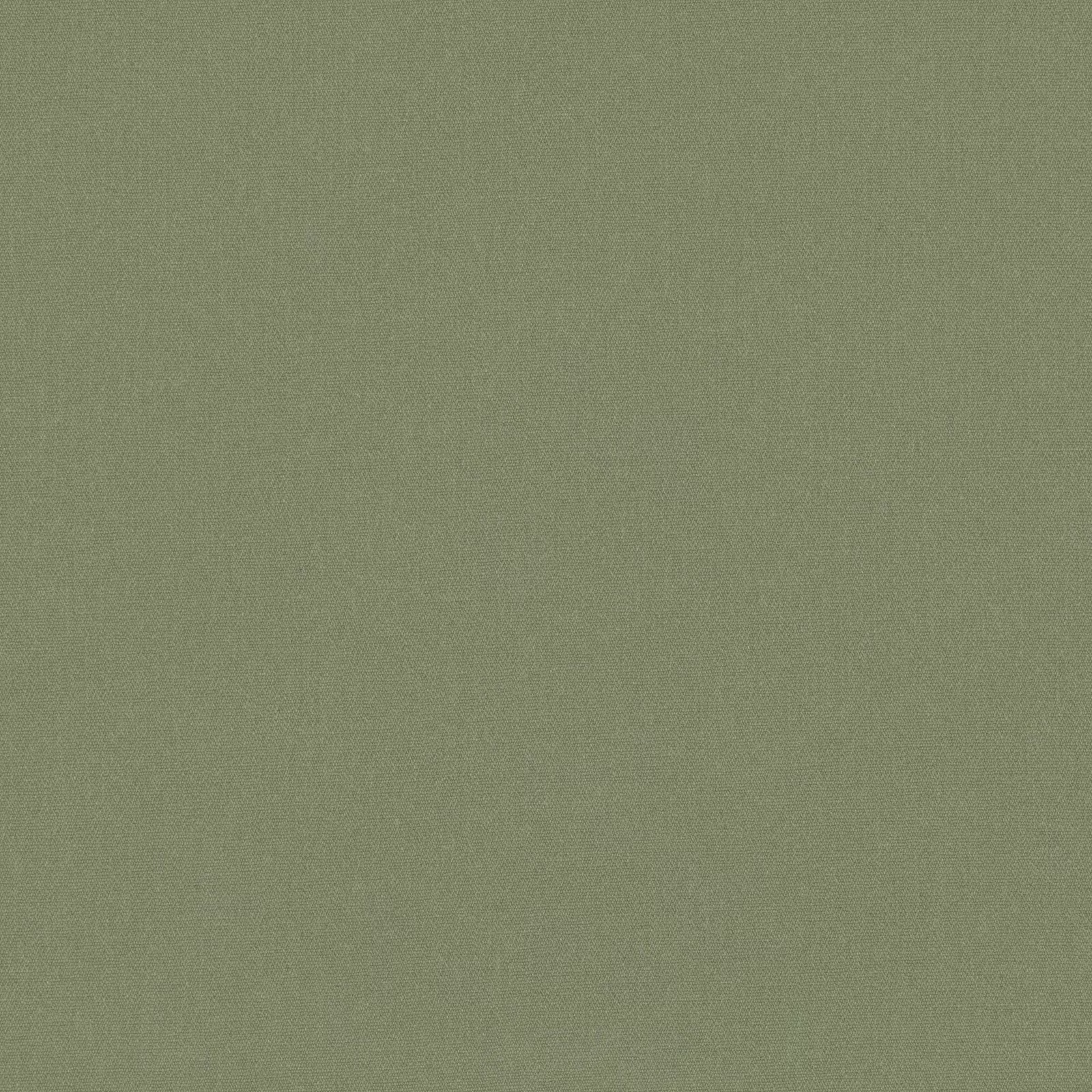 Muted fern-green swatch showing a fine, even woven texture