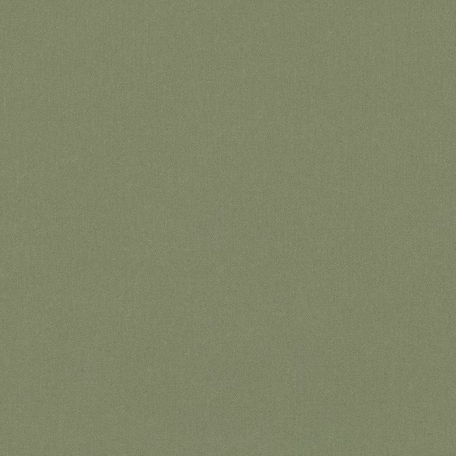 Muted fern-green swatch showing a fine, even woven texture