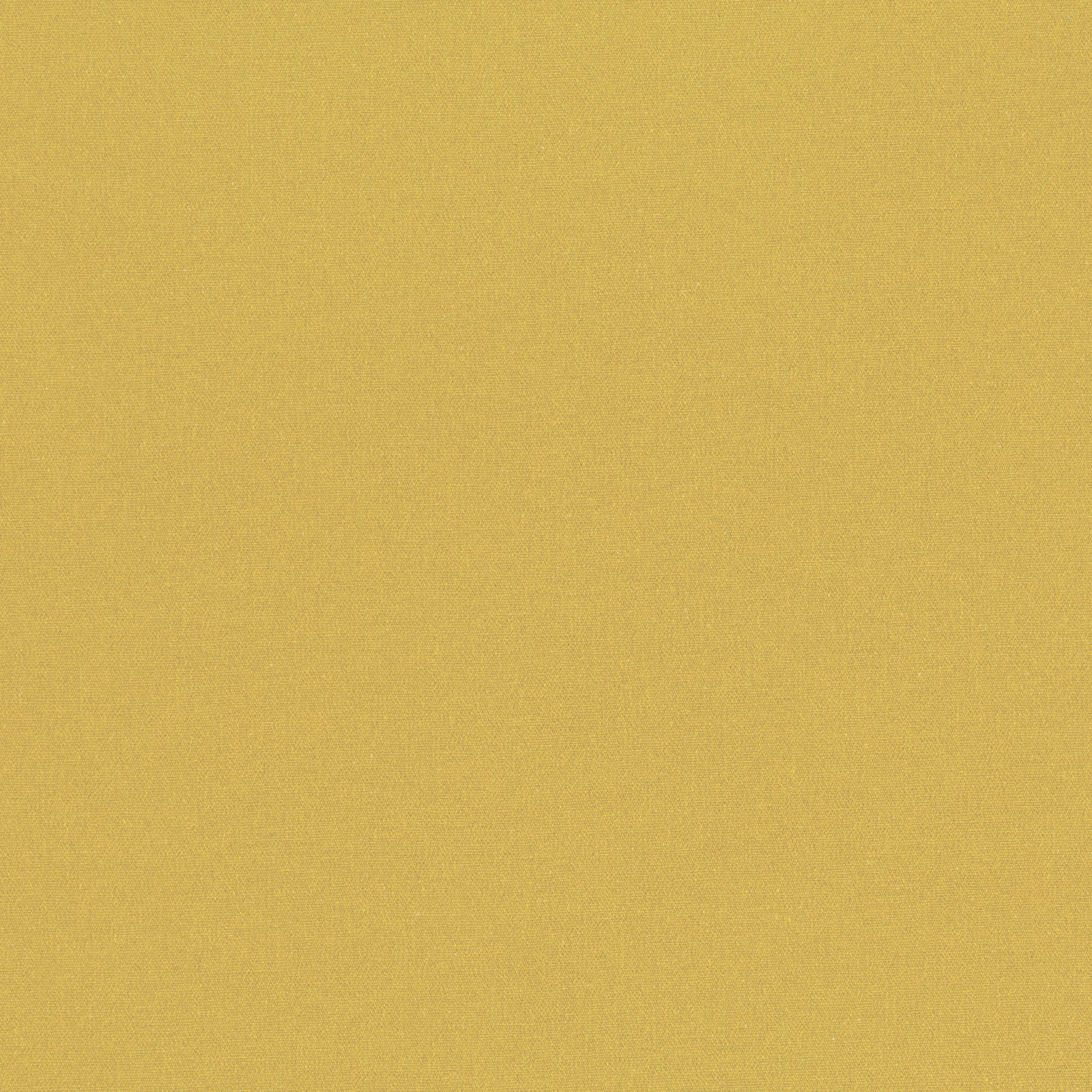 Close-up of smooth plain-weave fabric in warm muted maize yellow