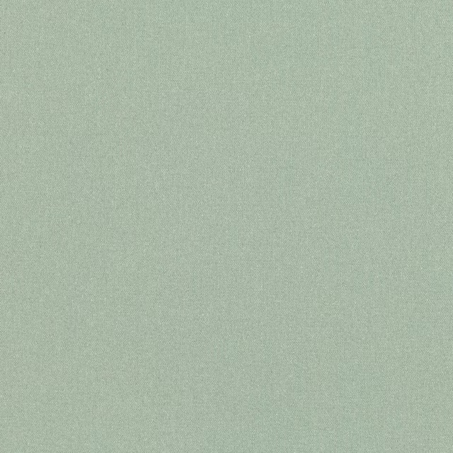 Close-up of pale sage-green fabric with a fine, softly mottled woven texture