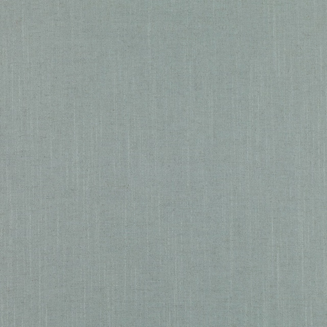 Pale blue-grey plain weave with subtle vertical slubs and a cool muted surface