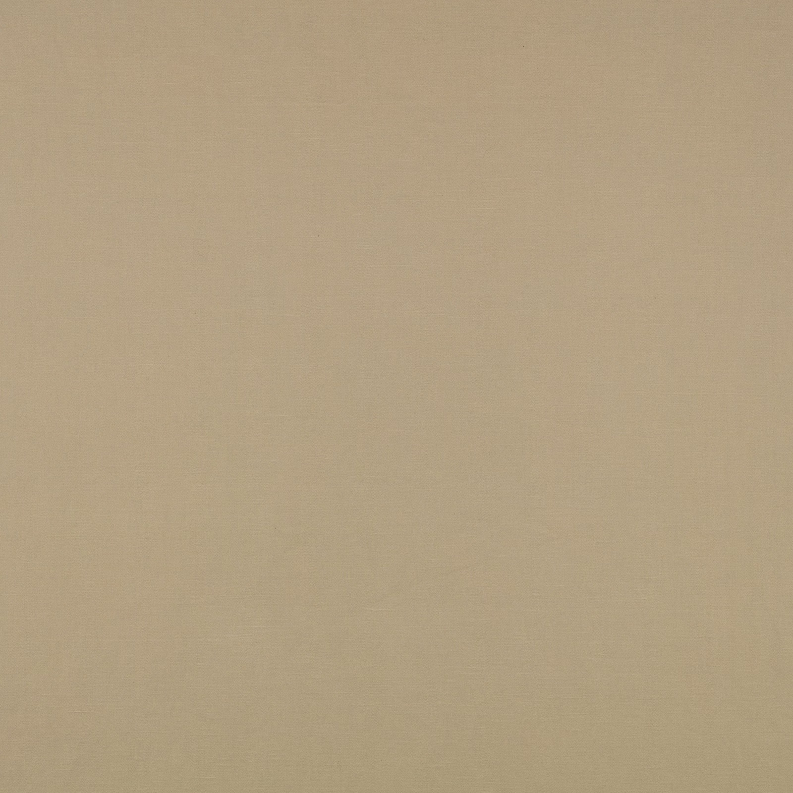 Muted artichoke olive-beige plain weave with a fine, softly linear texture