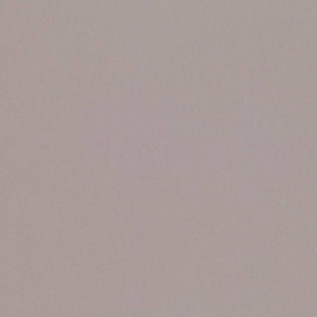 Soft taupe-grey plain weave with a quiet, lightly mottled surface