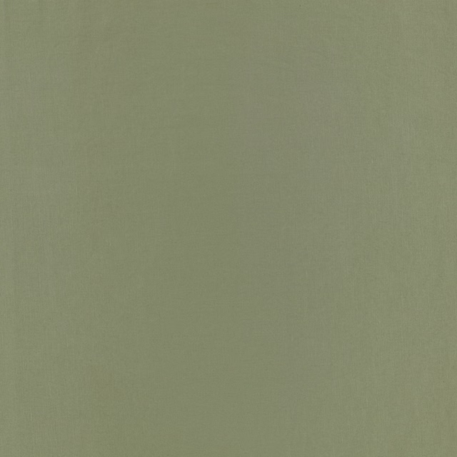 Muted fern-green fabric with a subtle, even woven surface and soft texture