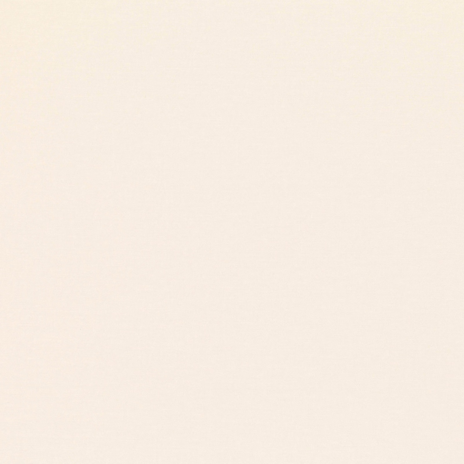 Pale jasmine-ivory fabric with a barely visible fine woven texture