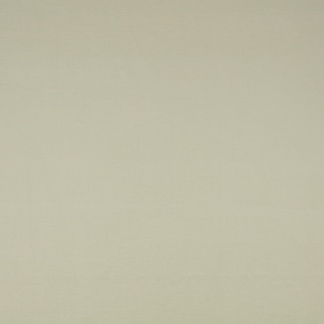 Pale lemongrass-green plain weave with a fine, softly crosshatched surface