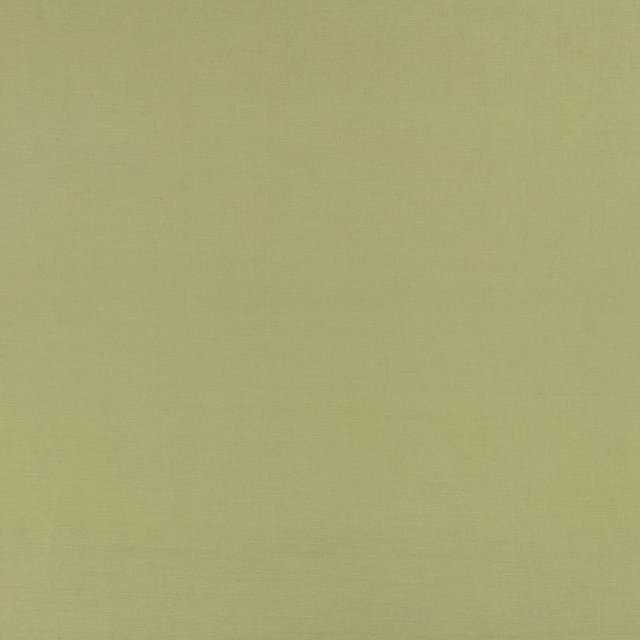 Muted matcha green plain-weave fabric with a fine, subtly varied textile texture