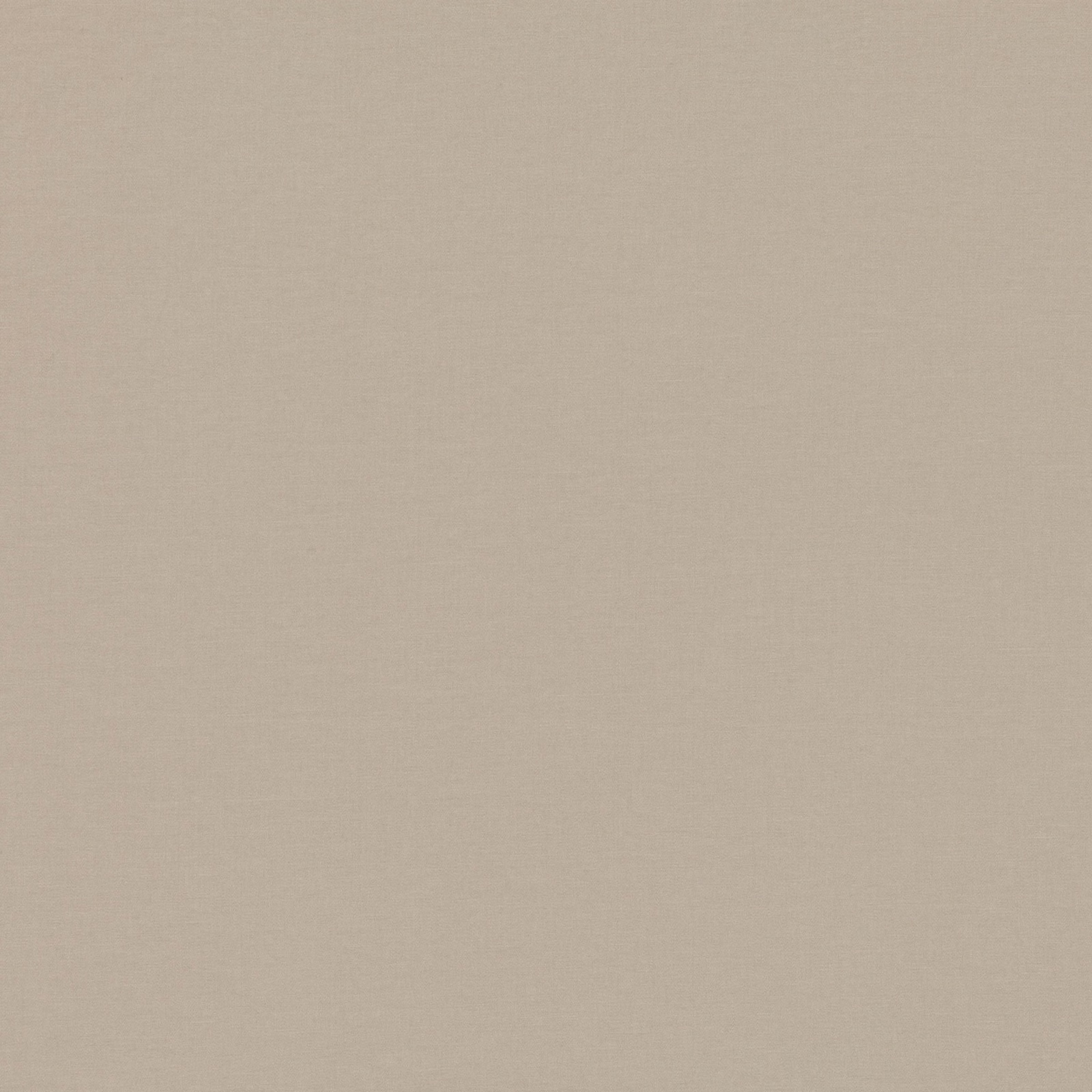 Warm oatmeal-beige plain weave with a finely textured, softly matte surface
