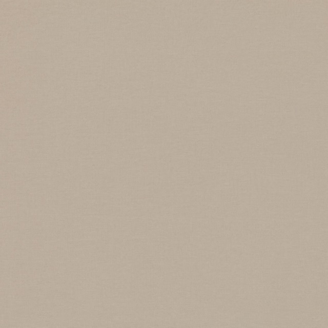Warm oatmeal-beige plain weave with a finely textured, softly matte surface