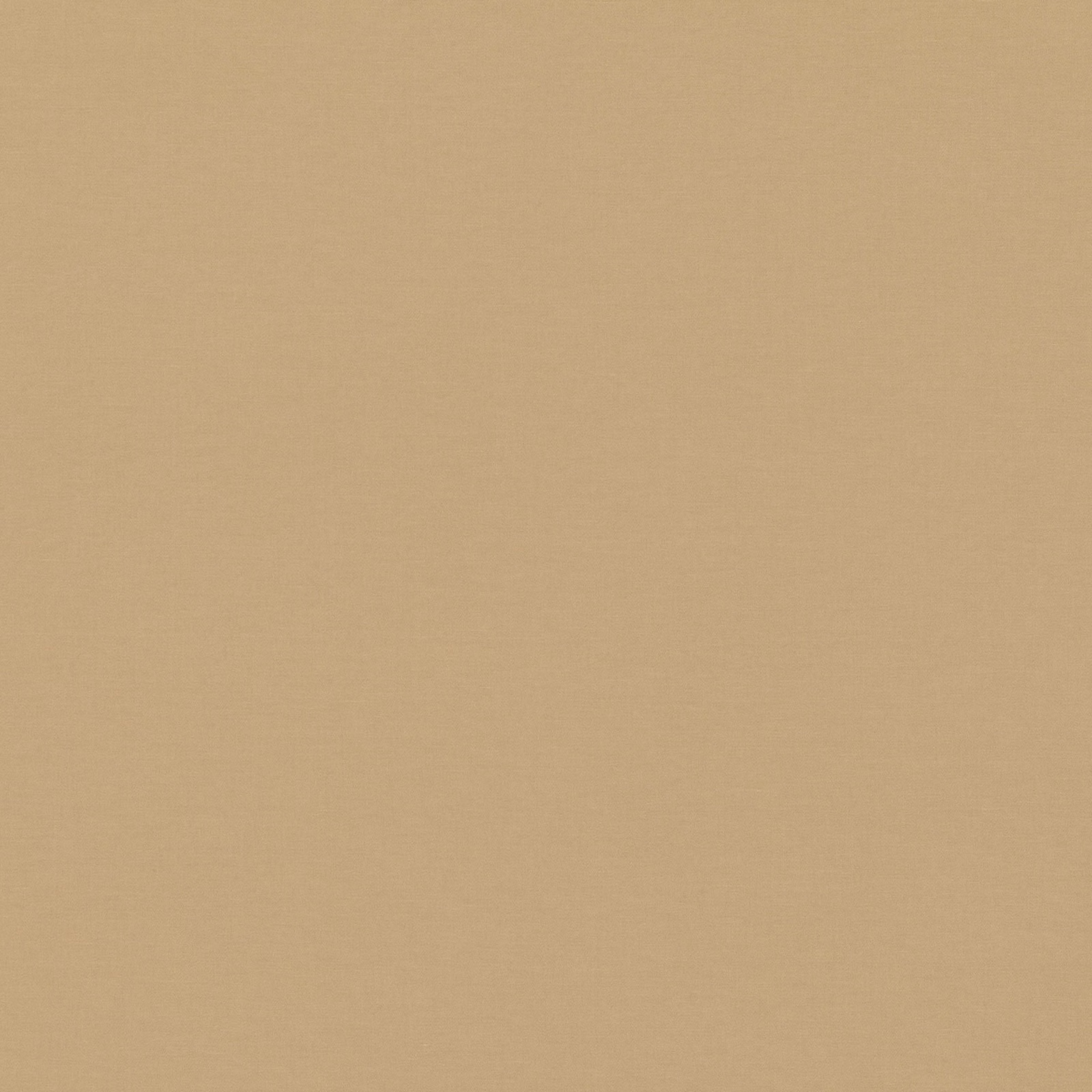 Warm twine-beige plain weave with a fine, subtly textured surface