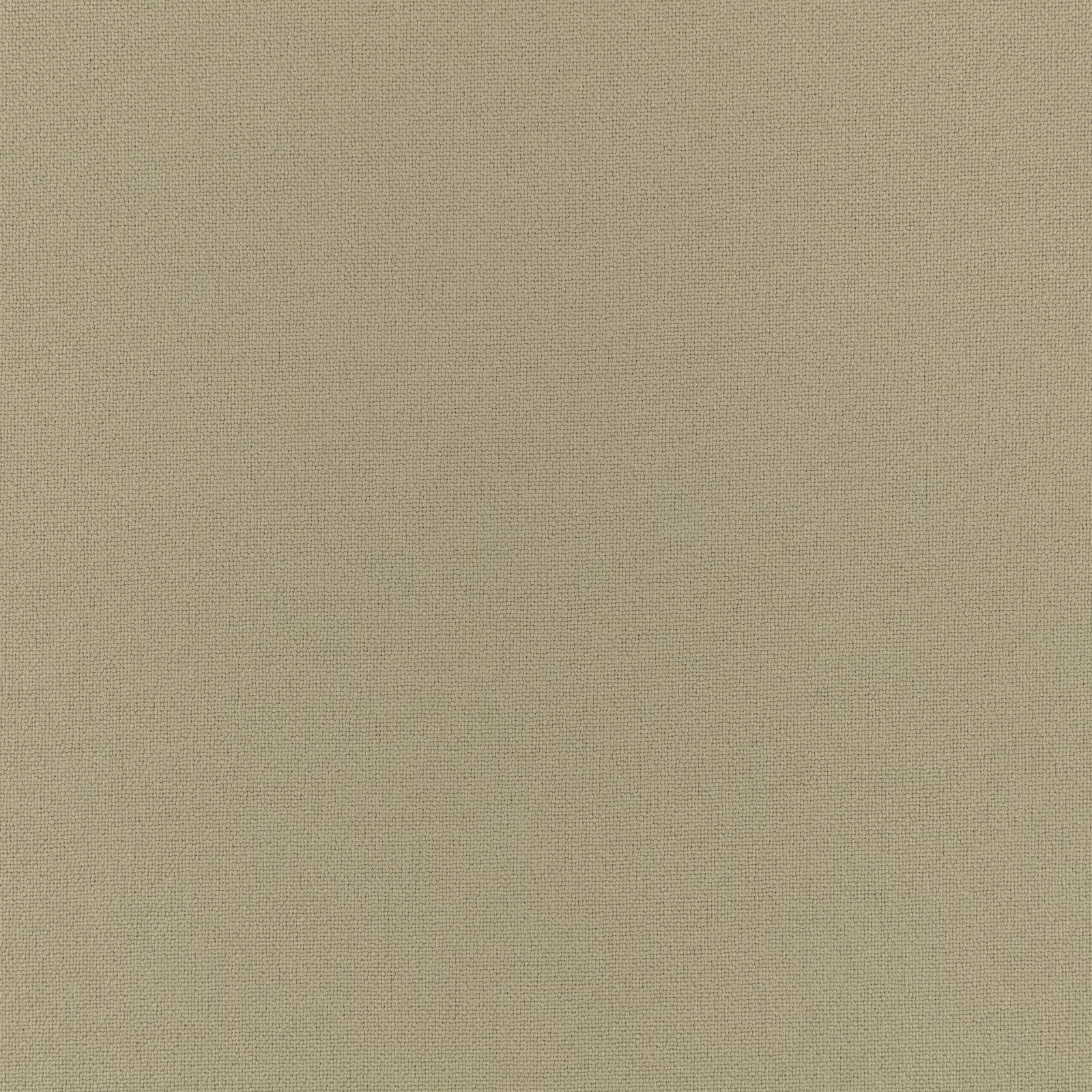 Pale caper-beige woven fabric with a fine, softly mottled surface