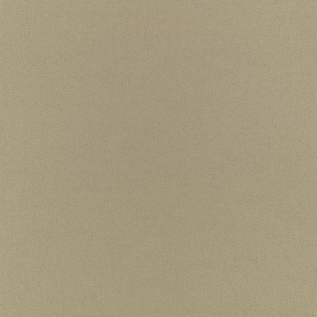 Pale caper-beige woven fabric with a fine, softly mottled surface