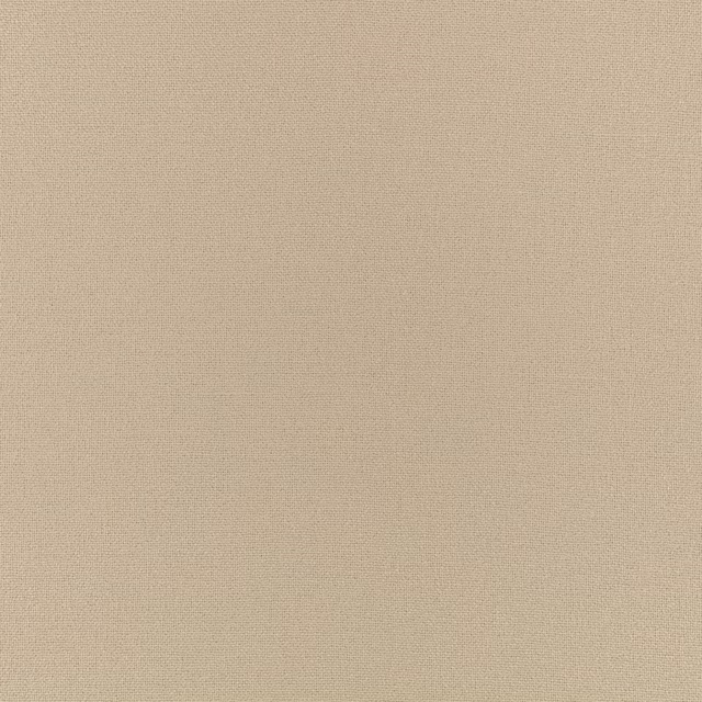 Warm chamois beige plain weave with a fine, softly grainy texture