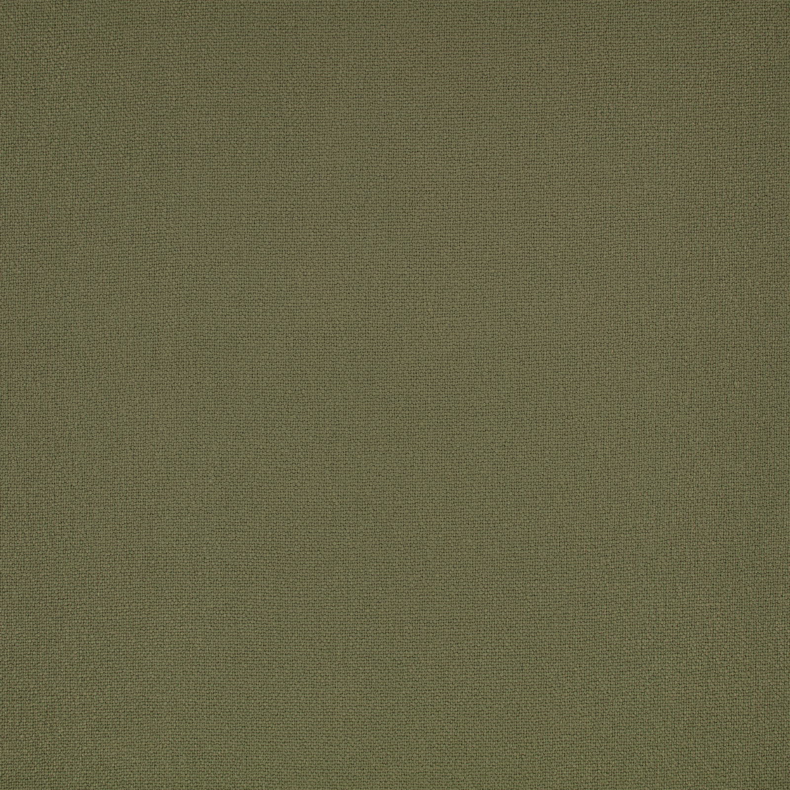 Close-up of muted fern-olive plain weave with a fine, subtly mottled surface
