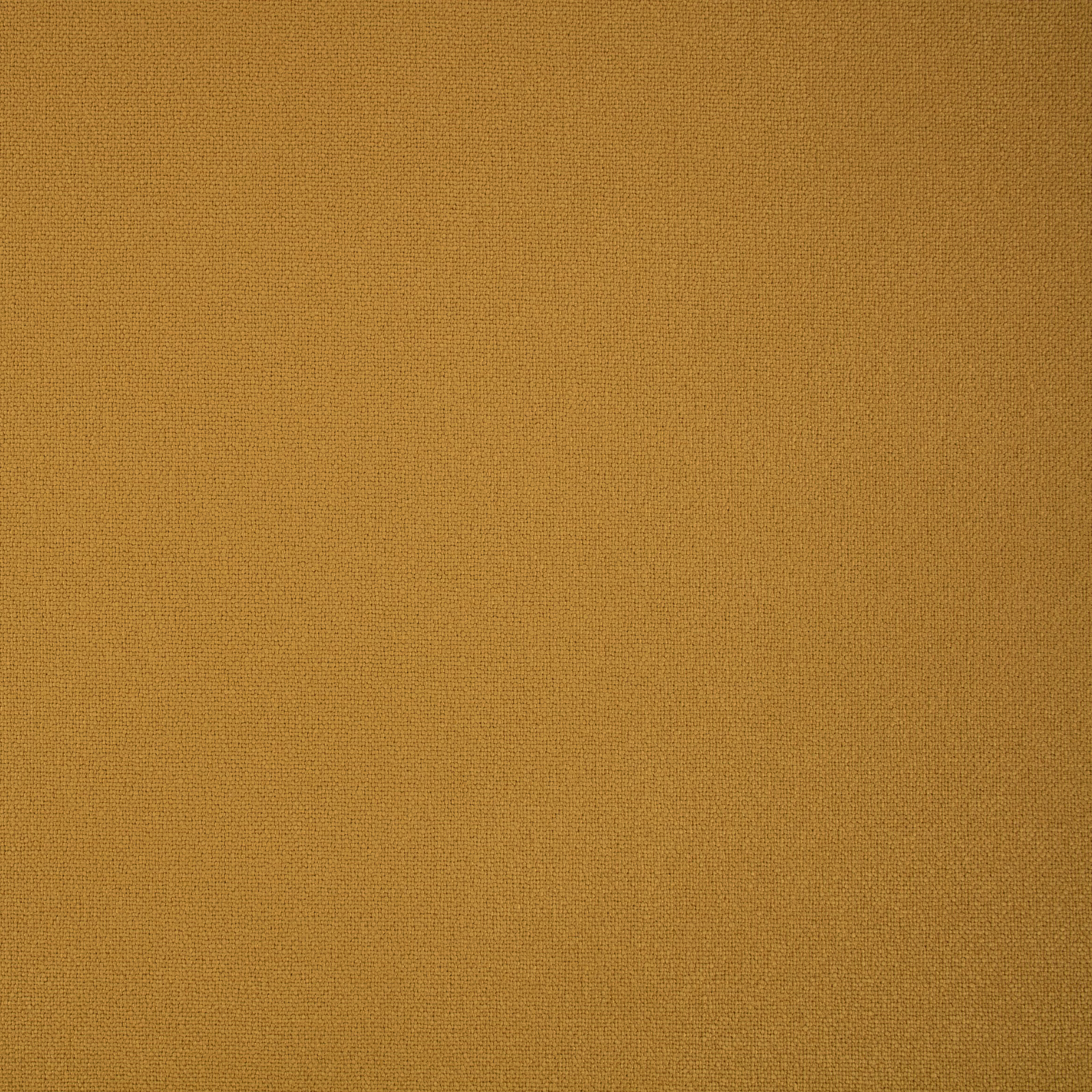 Warm ochre-gold Elio textile showing a fine, even woven texture