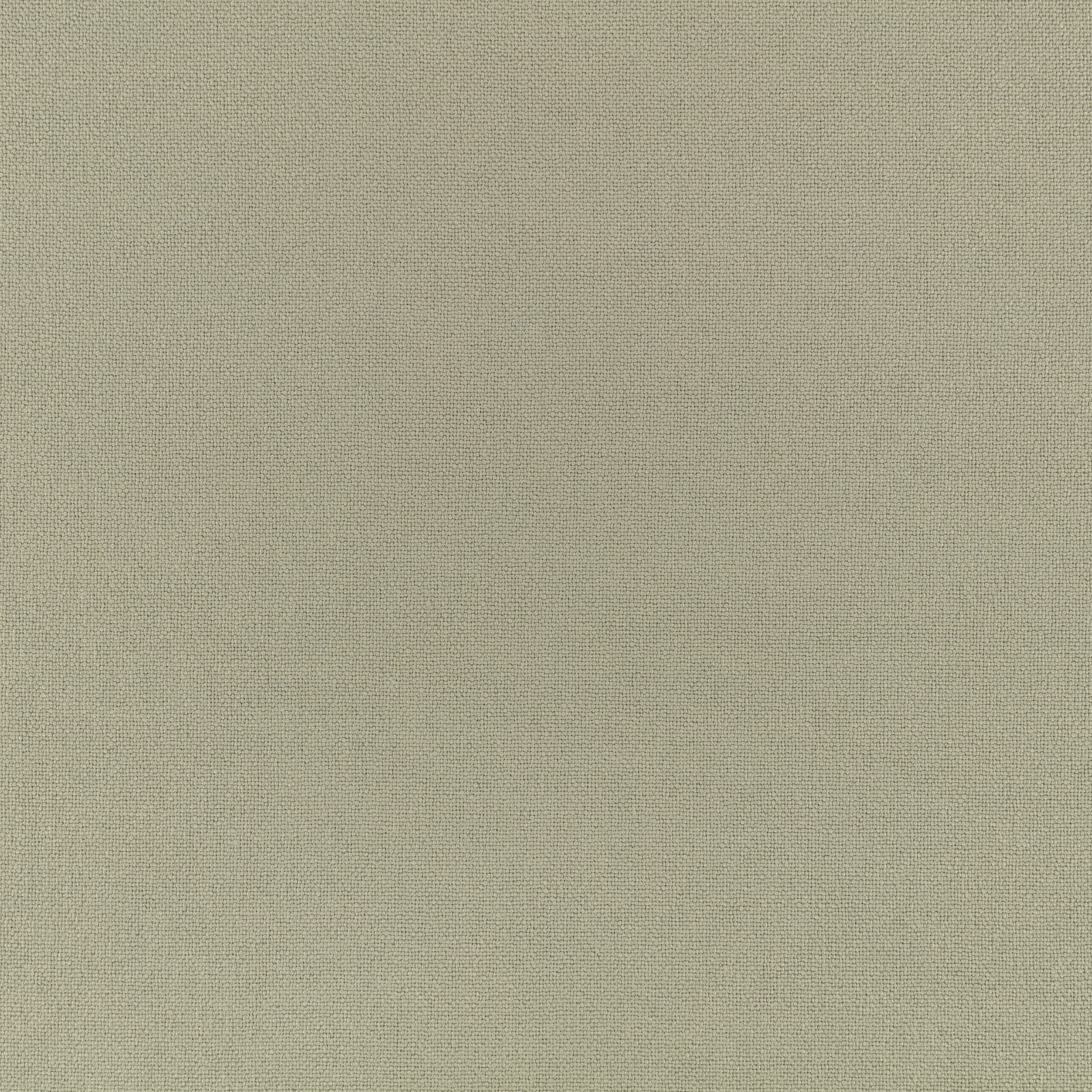 Muted tarragon green fabric with a fine, even woven texture and subtle tonal variation