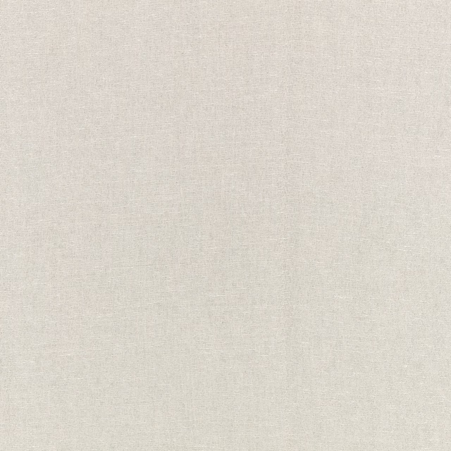 Pale grey-green woven swatch with fine, softly irregular tonal texture