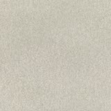 Pale kelp olive-grey wallcovering with fine mottled granular texture