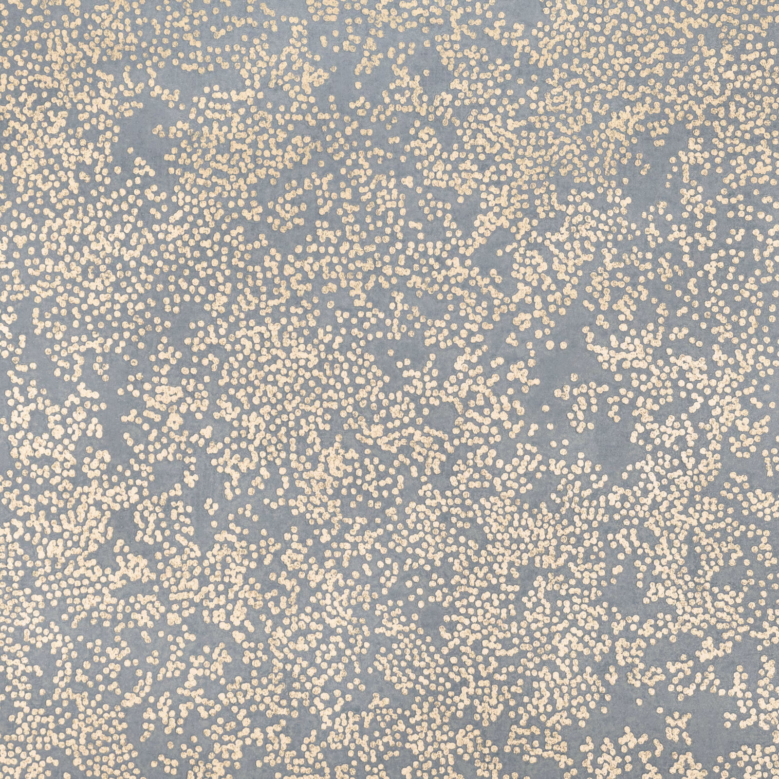 Cool blue-grey wallpaper scattered with dense irregular cream mineral-like flecks