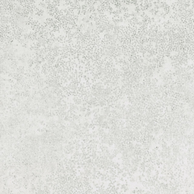 Pale egret wallpaper with fine silvery-grey flecks and cloudy mottled texture