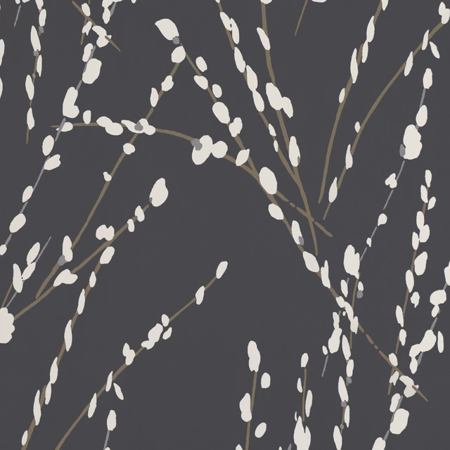 Charcoal wallpaper with ivory bud-like branches and fine taupe stems