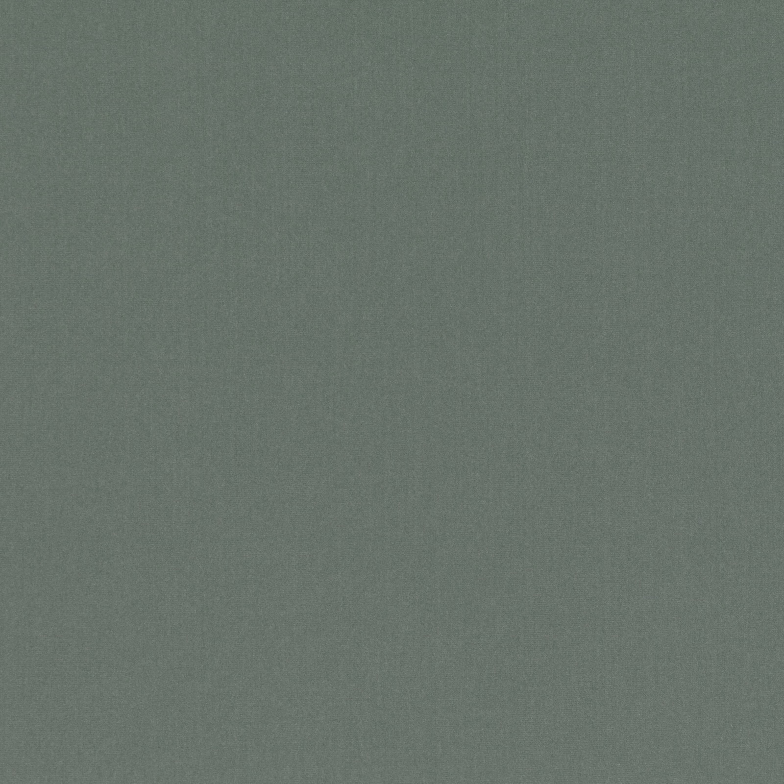 Muted agave-green plain weave with a softly mottled, matte surface