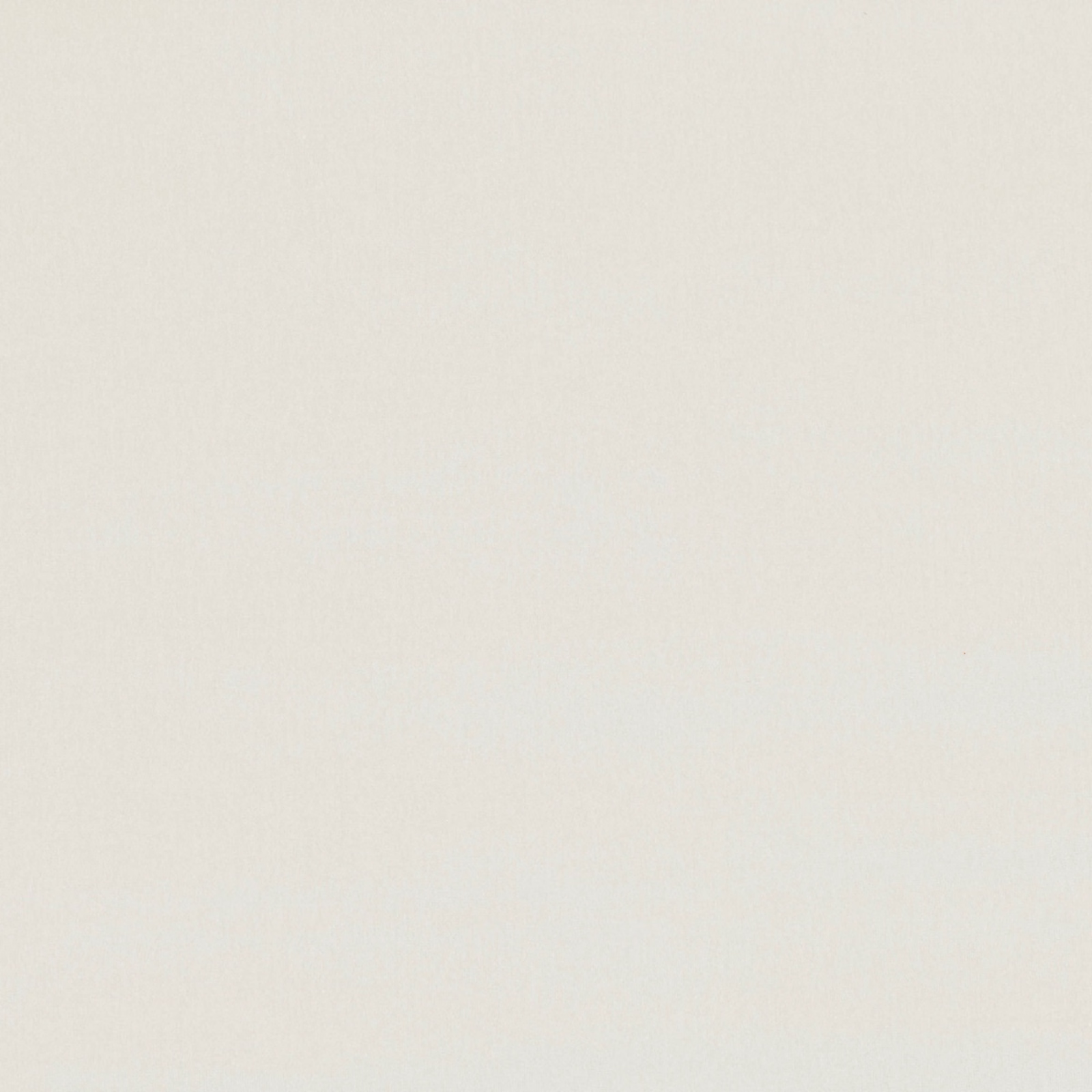 Pale ivory fabric swatch with a barely visible fine woven surface