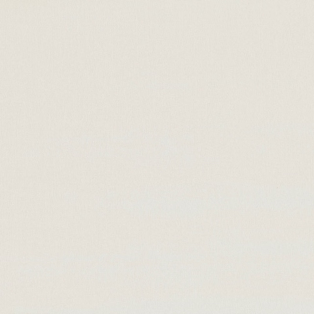 Pale ivory fabric swatch with a barely visible fine woven surface